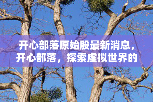 开心部落原始股最新消息图片