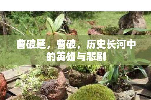 历史长河中的英雄与悲剧图片