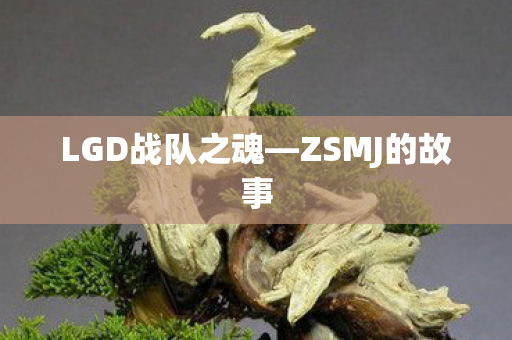 LGD战队之魂—ZSMJ的故事
