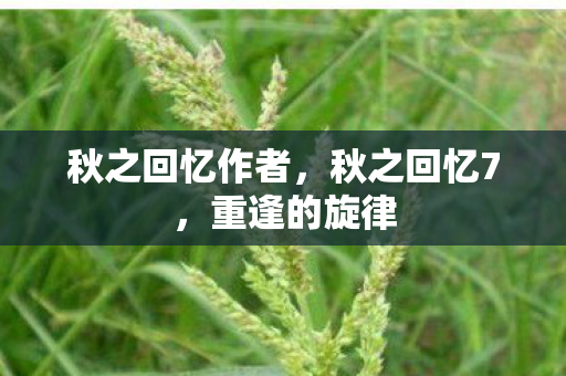 秋之回忆作者图片