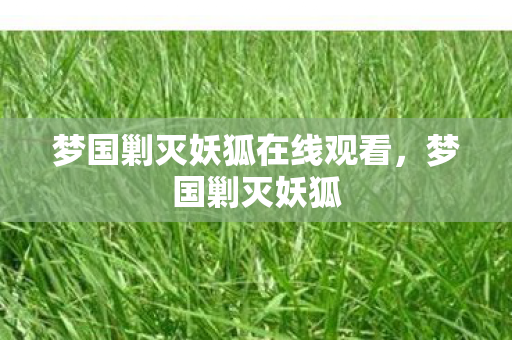 梦国剿灭妖狐在线观看图片