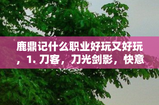 鹿鼎记什么职业好玩又好玩图片