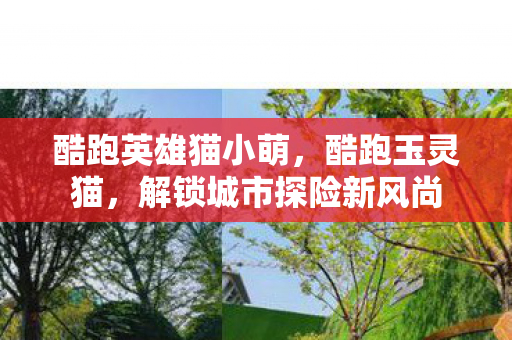 解锁城市探险新风尚图片