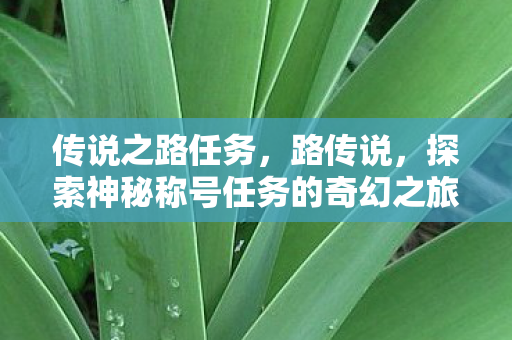 探索神秘称号任务的奇幻之旅图片