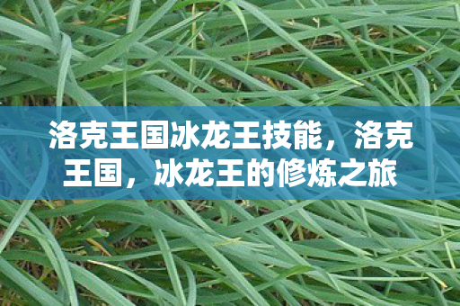 洛克王国冰龙王技能，洛克王国，冰龙王的修炼之旅