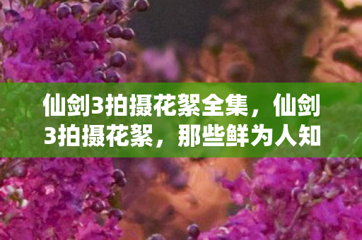 仙剑3拍摄花絮全集图片