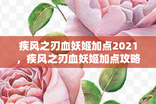 疾风之刃血妖姬加点2021图片