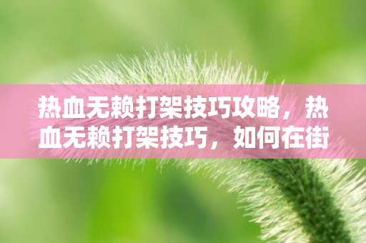 热血无赖打架技巧攻略，热血无赖打架技巧，如何在街头格斗中成为无敌王者