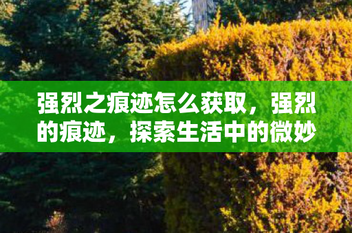 探索生活中的微妙印记图片