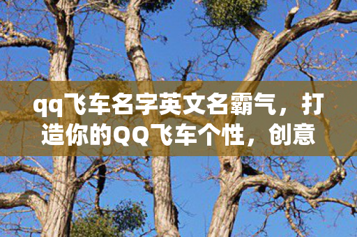 qq飞车名字英文名霸气图片