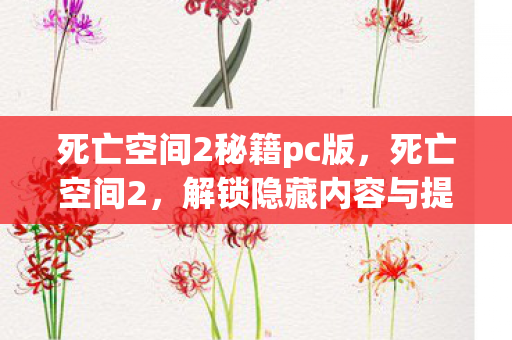 解锁隐藏内容与提升游戏体验的秘籍图片