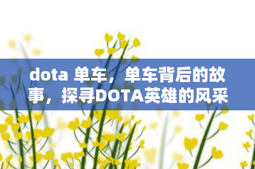dota 单车，单车背后的故事，探寻DOTA英雄的风采—单车照片集锦