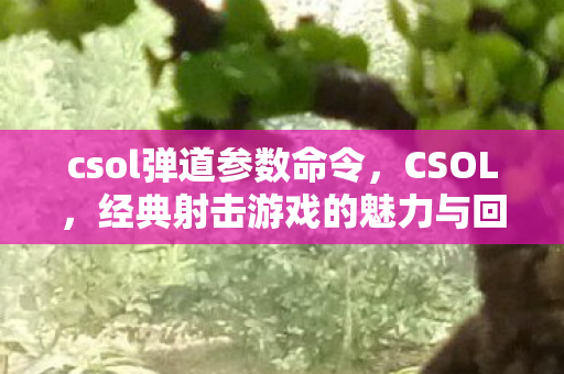 csol弹道参数命令，CSOL，经典射击游戏的魅力与回忆