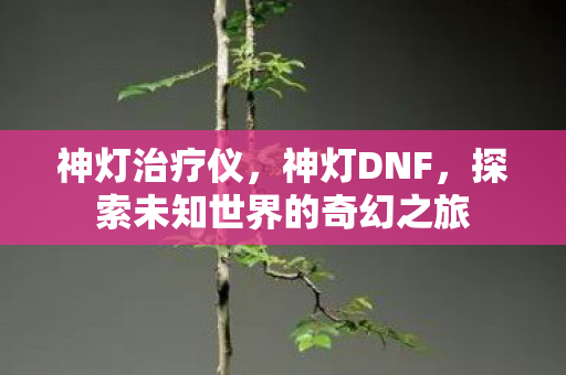 神灯治疗仪，神灯DNF，探索未知世界的奇幻之旅