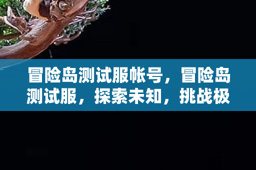 冒险岛测试服帐号图片