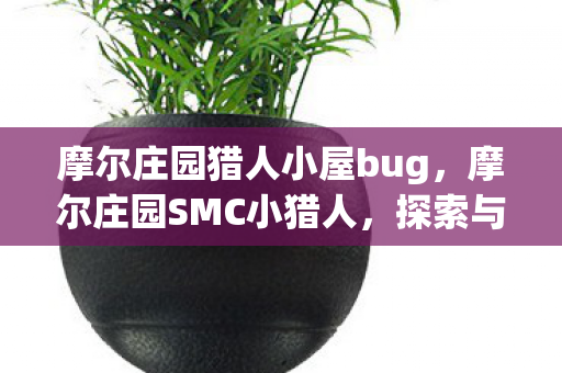 摩尔庄园猎人小屋bug图片