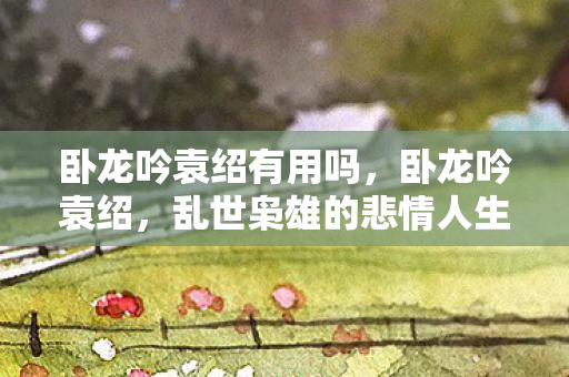 乱世枭雄的悲情人生图片