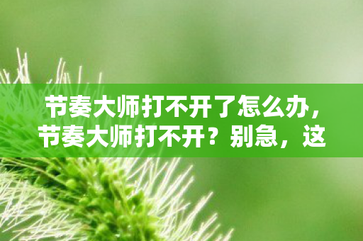 节奏大师打不开了怎么办图片