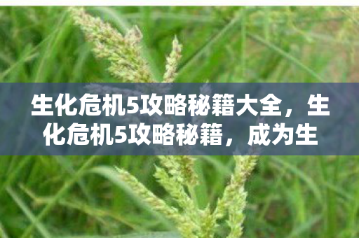 生化危机5攻略秘籍大全图片