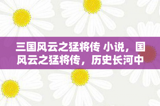 三国风云之猛将传 小说图片