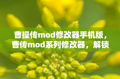 曹操传mod修改器手机版图片