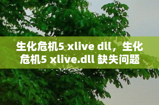 生化危机5 xlive dll图片