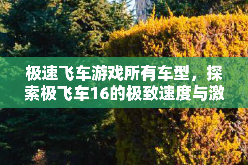 极速飞车游戏所有车型，探索极飞车16的极致速度与激情
