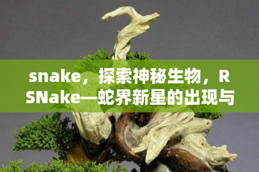 snake，探索神秘生物，RSNake—蛇界新星的出现与生态意义