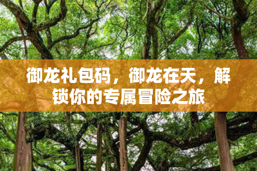 御龙礼包码，御龙在天，解锁你的专属冒险之旅