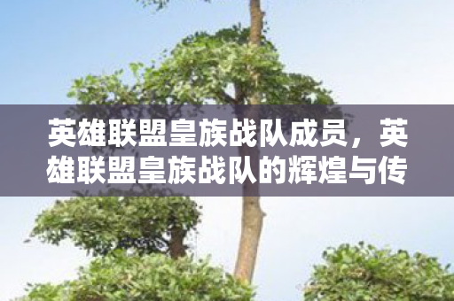 英雄联盟皇族战队的辉煌与传承图片