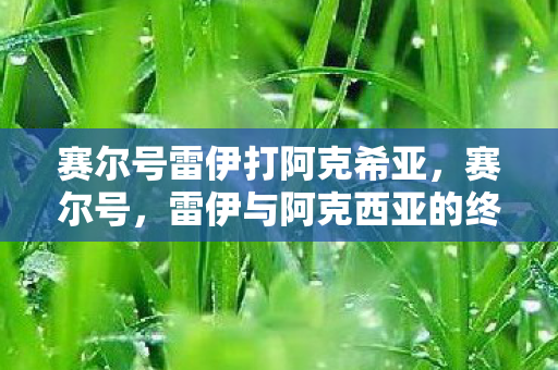 雷伊与阿克西亚的终极对决图片