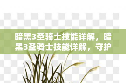 暗黑3圣骑士技能详解图片