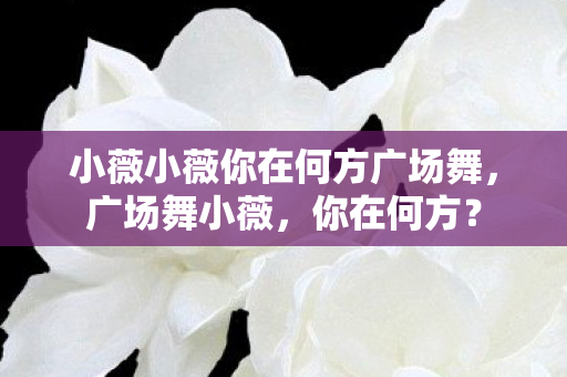 小薇小薇你在何方广场舞图片