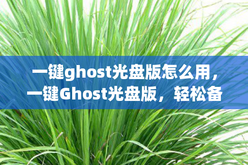 一键ghost光盘版怎么用图片