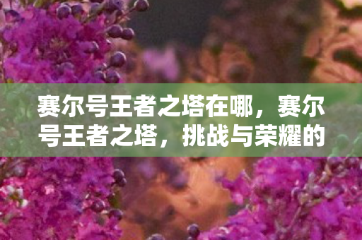 赛尔号王者之塔在哪图片