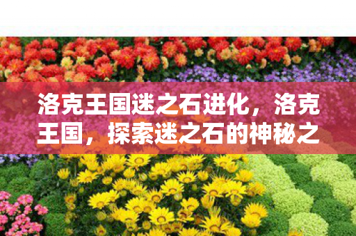 洛克王国迷之石进化，洛克王国，探索迷之石的神秘之旅