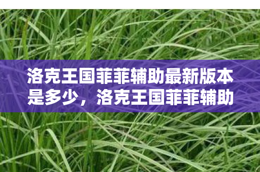 洛克王国菲菲辅助最新版本是多少，洛克王国菲菲辅助最新版，打造你的专属冒险之旅