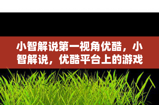 优酷平台上的游戏解说新星图片