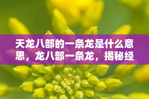 天龙八部的一条龙是什么意思图片