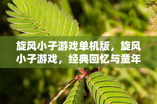 经典回忆与童年乐趣的碰撞图片