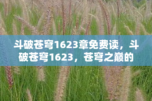 斗破苍穹1623章免费读图片