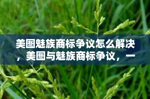 美图魅族商标争议怎么解决，美图与魅族商标争议，一场知识产权的较量