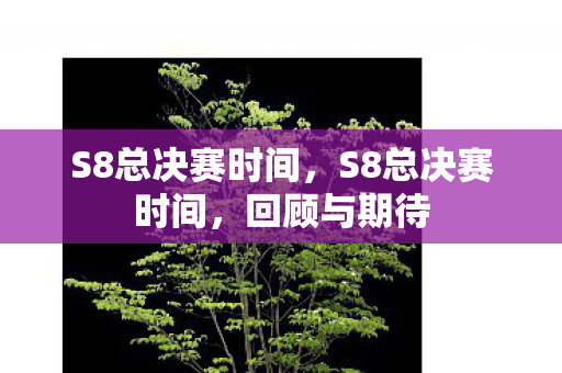 S8总决赛时间图片