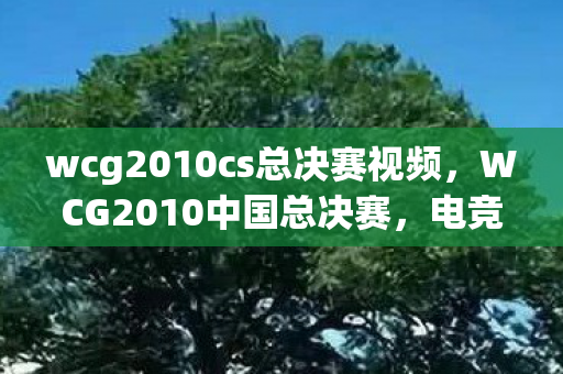 wcg2010cs总决赛视频图片