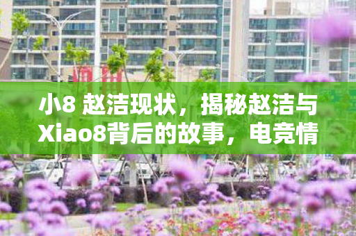 小8 赵洁现状，揭秘赵洁与Xiao8背后的故事，电竞情侣档的成长与奋斗