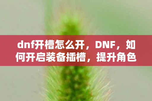dnf开槽怎么开图片