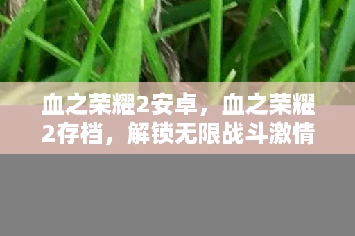 血之荣耀2安卓，血之荣耀2存档，解锁无限战斗激情的秘籍