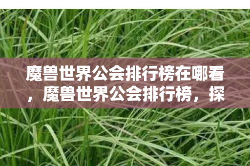 魔兽世界公会排行榜在哪看图片