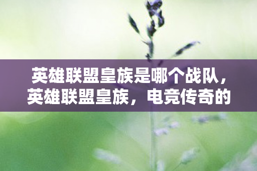 英雄联盟皇族是哪个战队图片