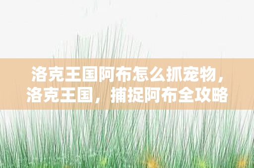 洛克王国阿布怎么抓宠物图片